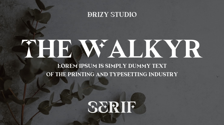 The Walkyr Font