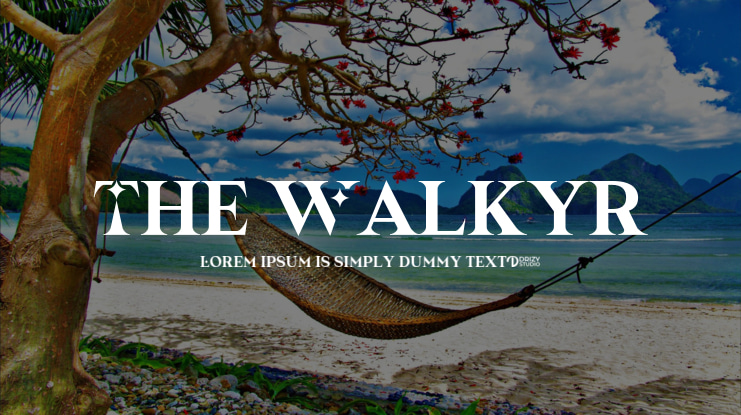 The Walkyr Font