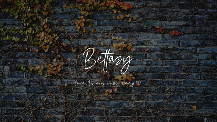 Bettasy Font