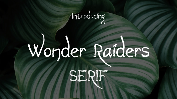 Wonder Raiders Font