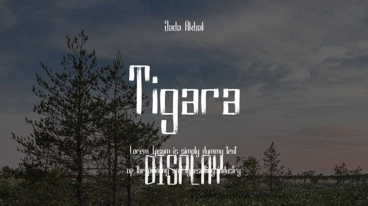 Tigara Font