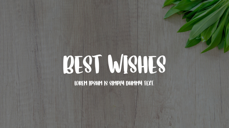 Best Wishes Font