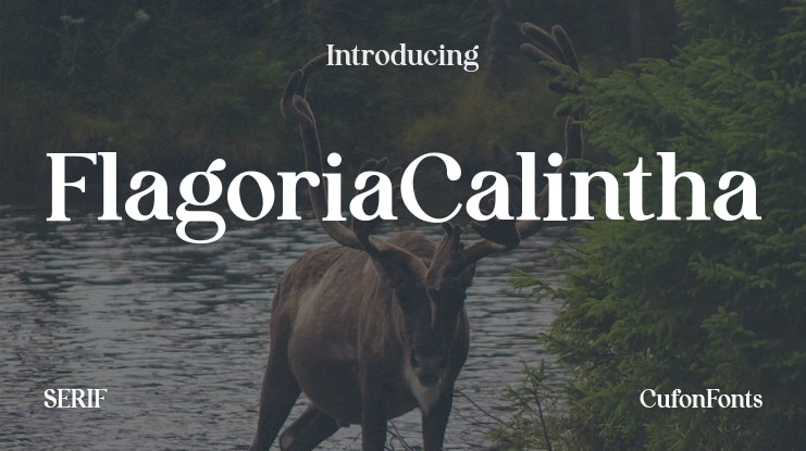 FlagoriaCalintha Font