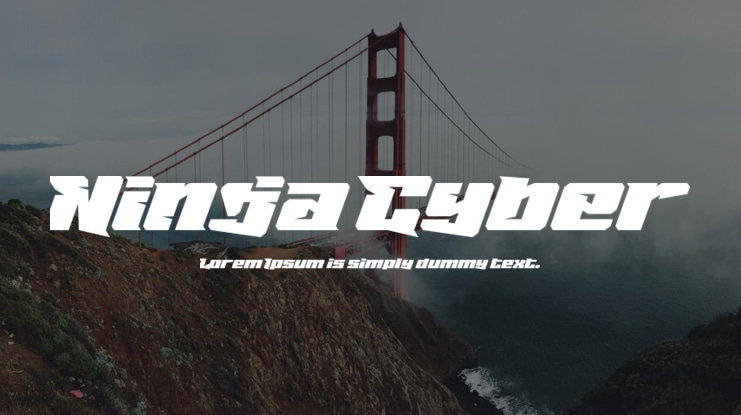 Ninja Cyber Font