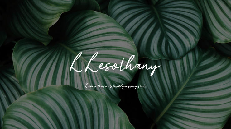 L Lesothany Font