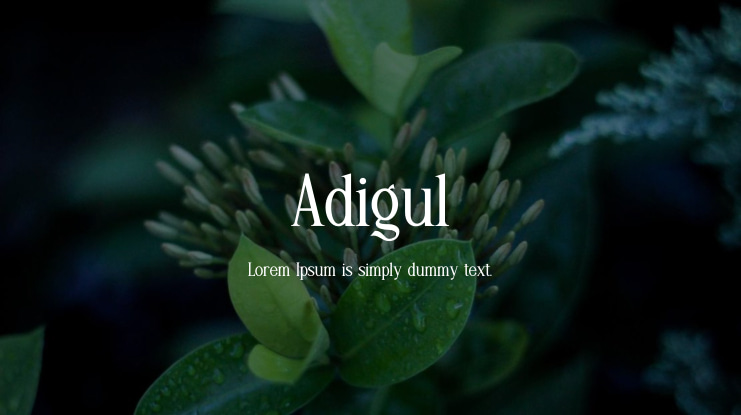 Adigul Font