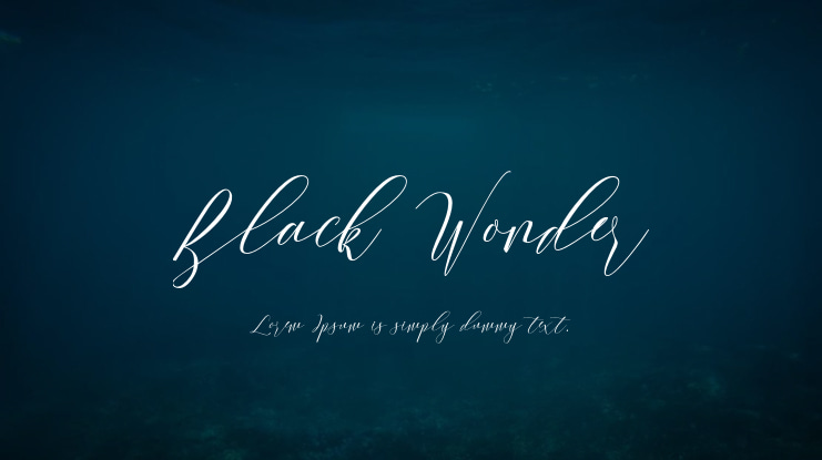 Black Wonder Font