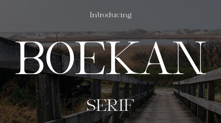 BOEKAN Font Family