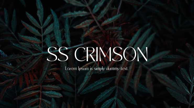 SS CRIMSON Font