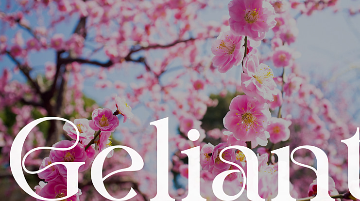 Geliant Font