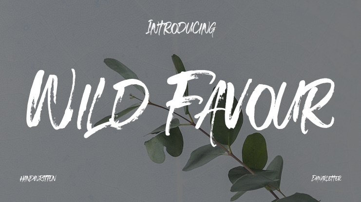 Wild Favour Font