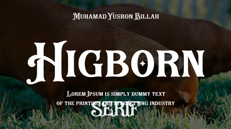 Higborn Font