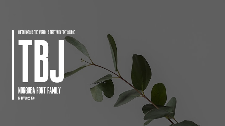 TBJ Norguba Font Family