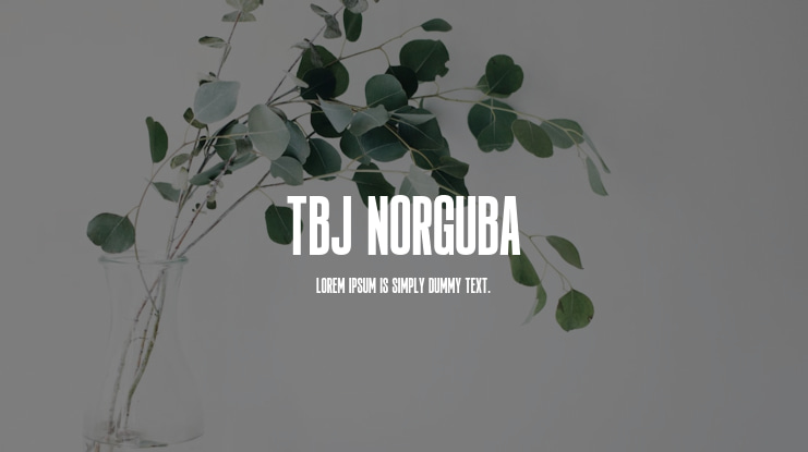 TBJ Norguba Font Family