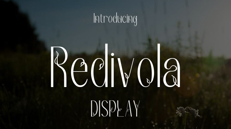 Redivola Font