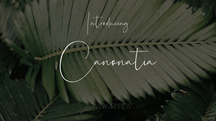 Canonatia Font