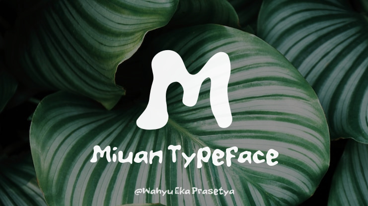 M Miuan Font
