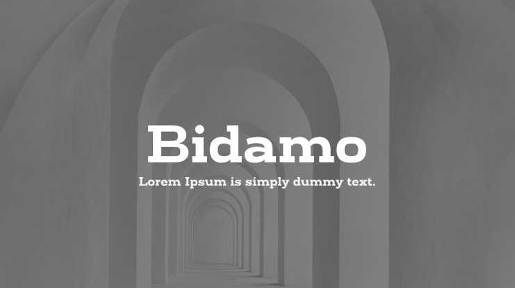 Bidamo Font Family