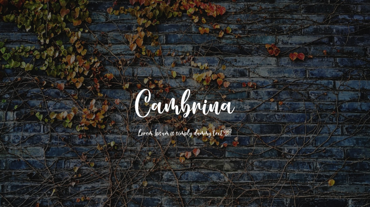 Cambrina Font