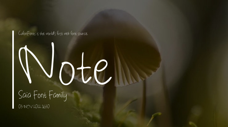 Note Saia Font Family
