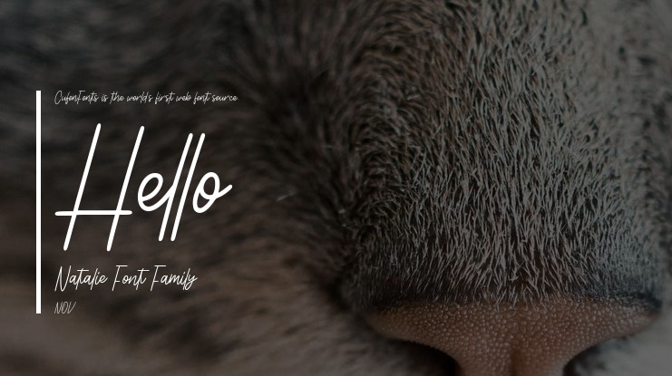 Hello Natalie Font