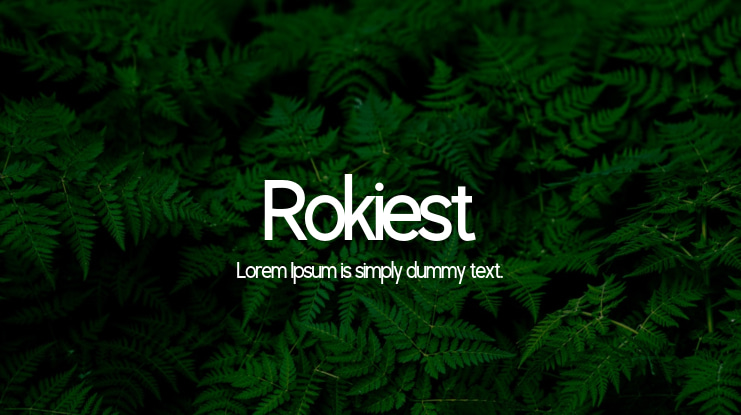 Rokiest Font Family