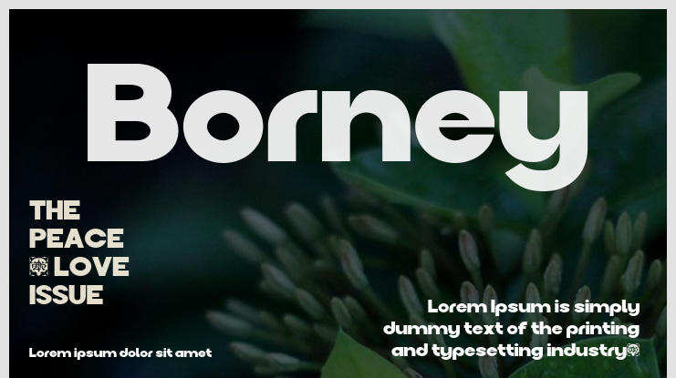 Borney Font