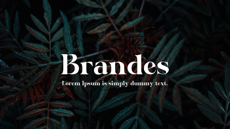 Brandes Font