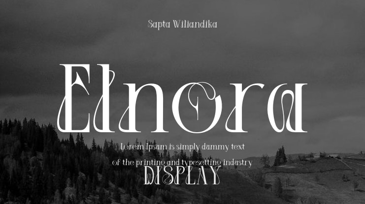 Elnora Font Family