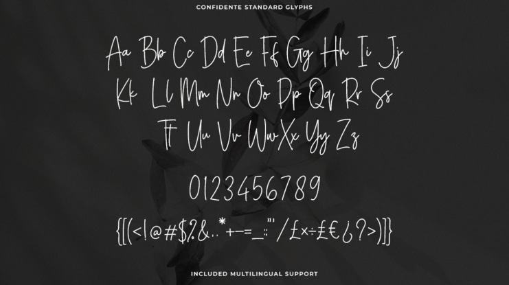 Confidente Font