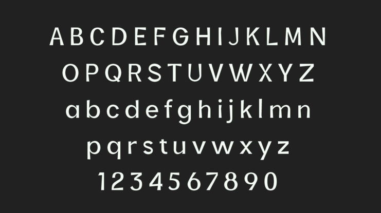 Ervha Sans Font Family