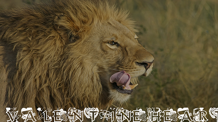 Valentine Hearts Font