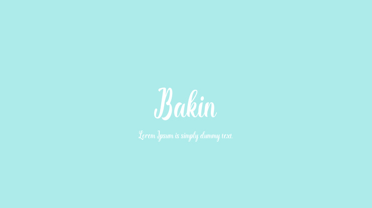 Bakin Font