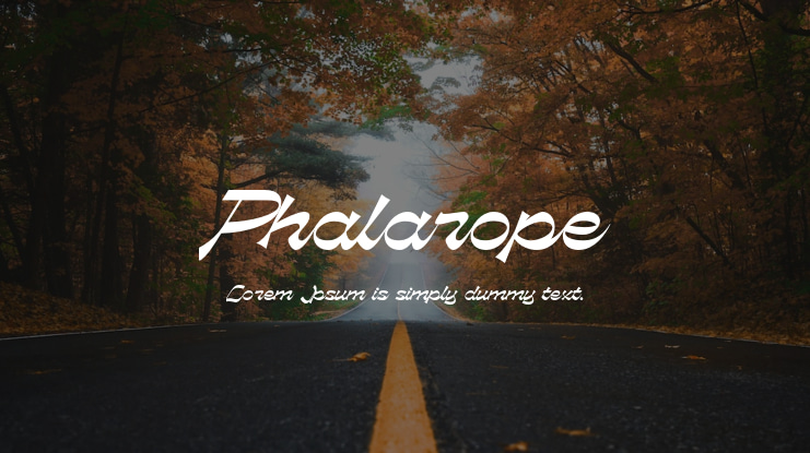 Phalarope Font