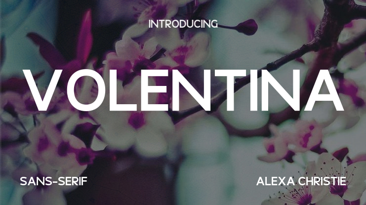 Volentina Font