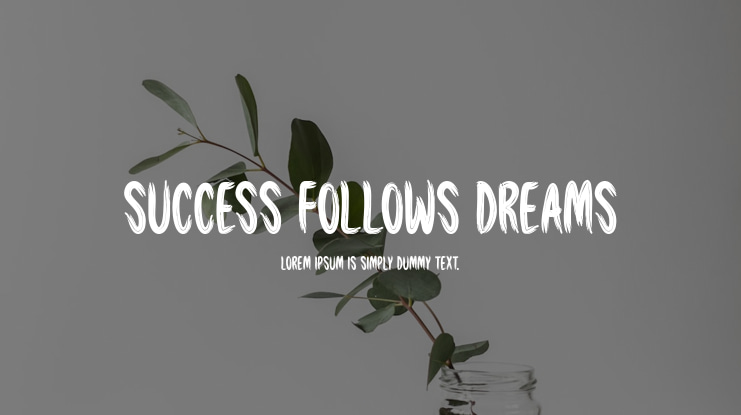 Success Follows Dreams Font