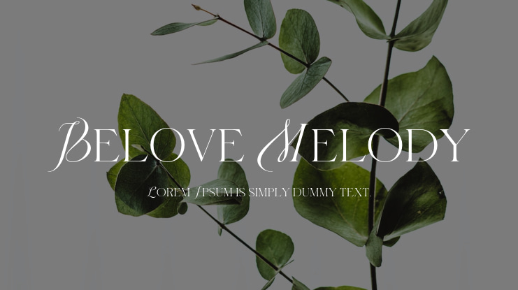 Belove Melody Font