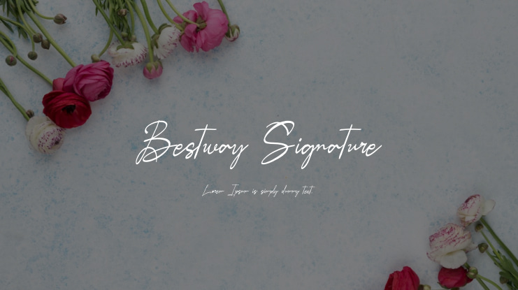 Bestway Signature Font