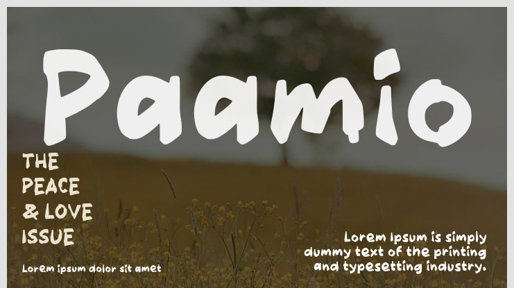Paamio Font
