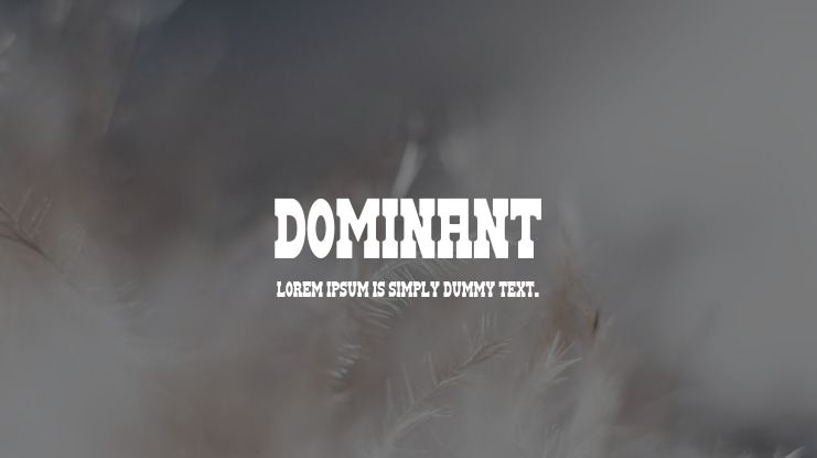 DOMINANT Font Family