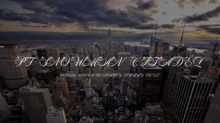 PF Snowman Citadel Font