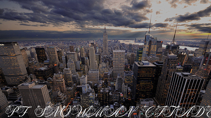 PF Snowman Citadel Font