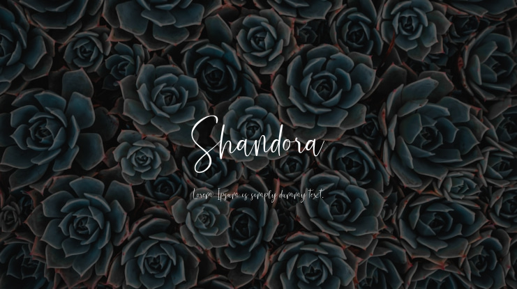 Shandora Font
