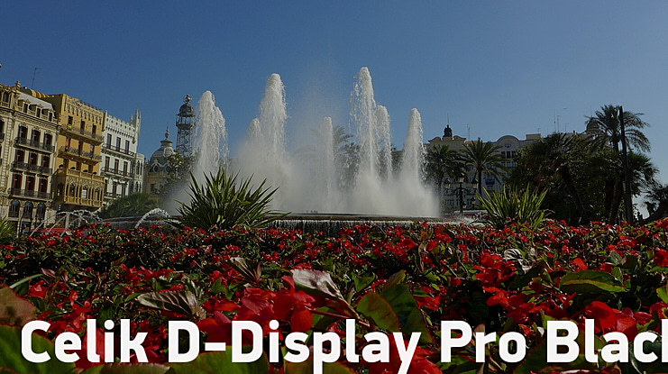 Celik D-Display Pro Black Font