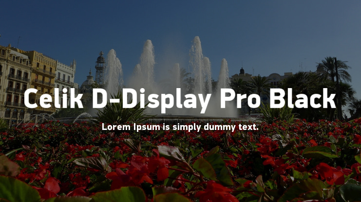 Celik D-Display Pro Black Font
