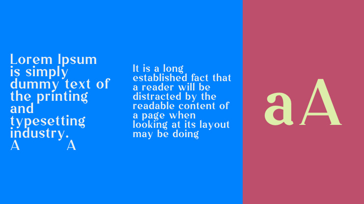 Vintage Mintage Font