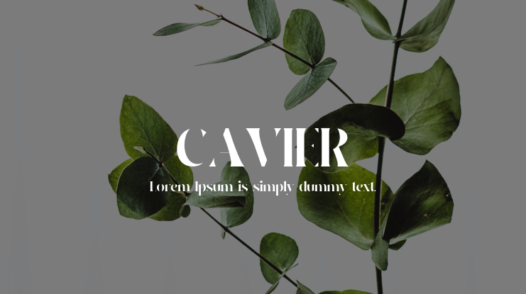 CAVIER Font