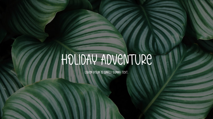 Holiday Adventure Font
