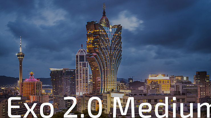 Exo 2.0 Black Font Family