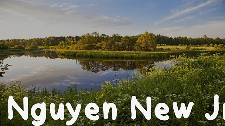 Nguyen New Jr Font